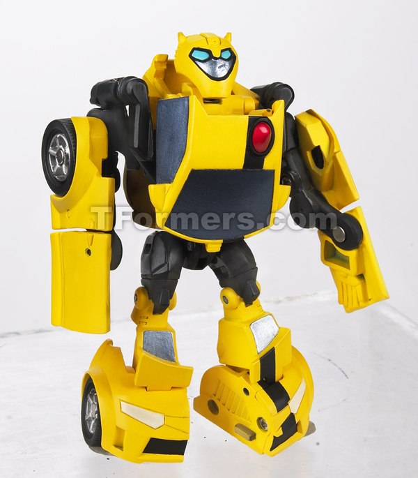 Activators Bumblebee1  (3 of 12)